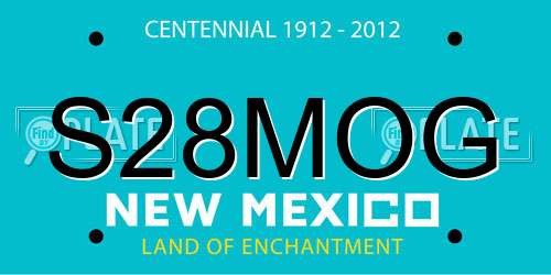 S28MOG New Mexico License Plate