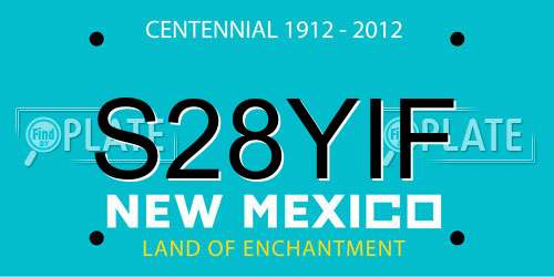 S28YIF New Mexico License Plate