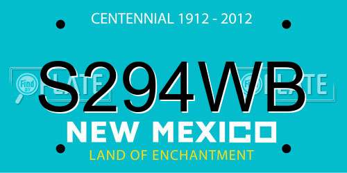 S294WB New Mexico License Plate