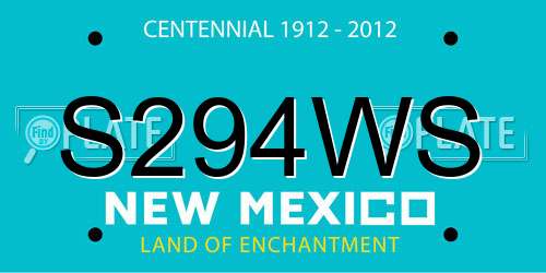 S294WS New Mexico License Plate