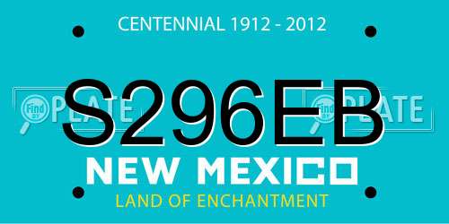S296EB New Mexico License Plate