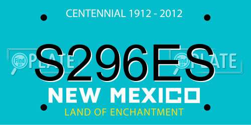 S296ES New Mexico License Plate