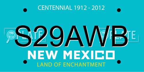S29AWB New Mexico License Plate