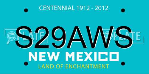 S29AWS New Mexico License Plate