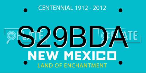 S29BDA New Mexico License Plate
