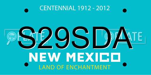 S29SDA New Mexico License Plate