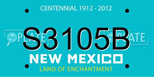 S3105B New Mexico License Plate