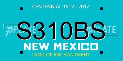 S310BS New Mexico License Plate