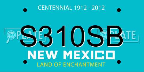 S310SB New Mexico License Plate