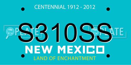 S310SS New Mexico License Plate