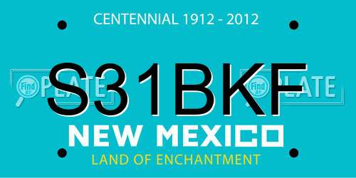 S31BKF New Mexico License Plate