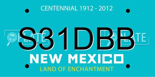 S31DBB New Mexico License Plate