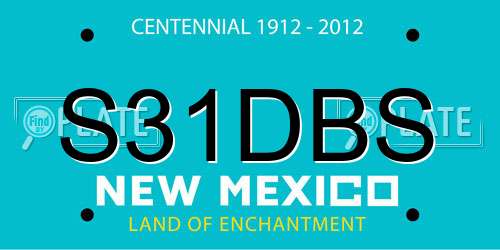 S31DBS New Mexico License Plate