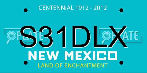 S31DLX New Mexico License Plate