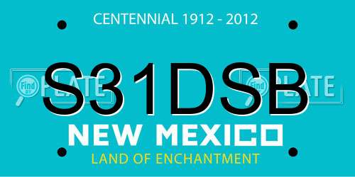 S31DSB New Mexico License Plate