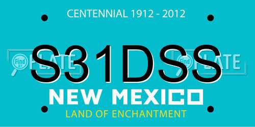 S31DSS New Mexico License Plate