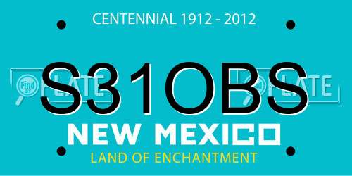 S31OBS New Mexico License Plate