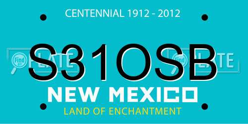 S31OSB New Mexico License Plate
