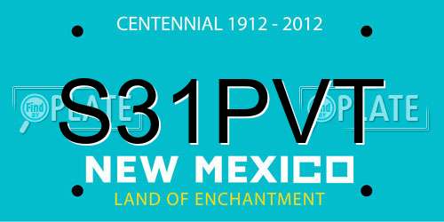 S31PVT New Mexico License Plate