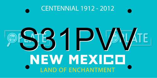 S31PVV New Mexico License Plate