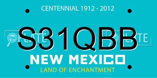 S31QBB New Mexico License Plate