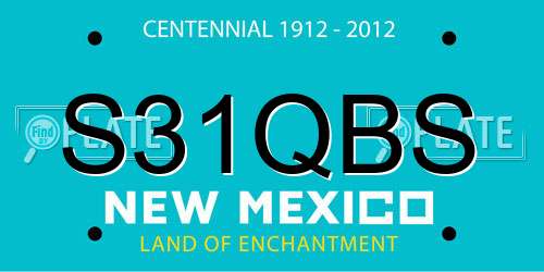 S31QBS New Mexico License Plate