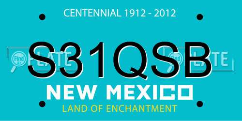 S31QSB New Mexico License Plate