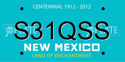 S31QSS New Mexico License Plate