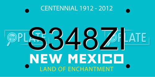 S348ZI New Mexico License Plate