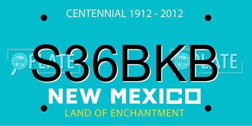 S36BKB New Mexico License Plate