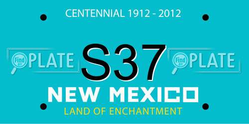 S37 New Mexico License Plate