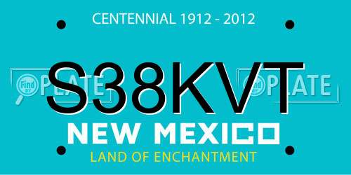 S38KVT New Mexico License Plate