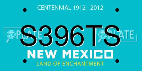 S396TS New Mexico License Plate