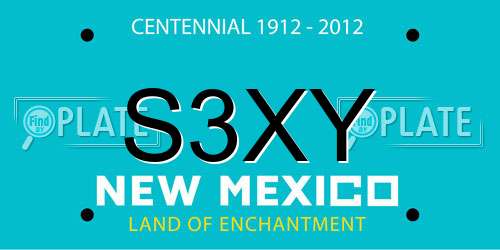 S3XY New Mexico License Plate