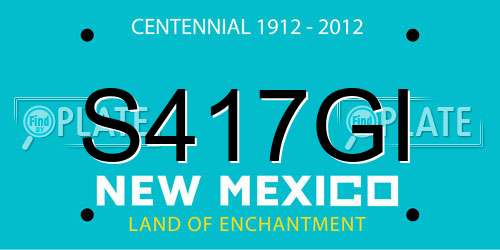 S417GI New Mexico License Plate