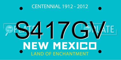 S417GV New Mexico License Plate