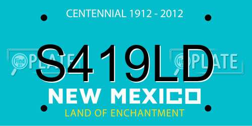 S419LD New Mexico License Plate