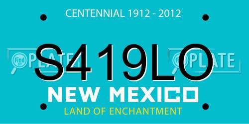 S419LO New Mexico License Plate