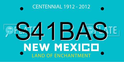 S41BAS New Mexico License Plate