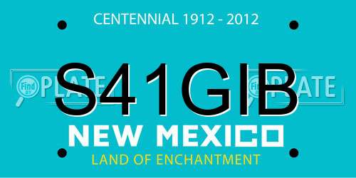 S41GIB New Mexico License Plate