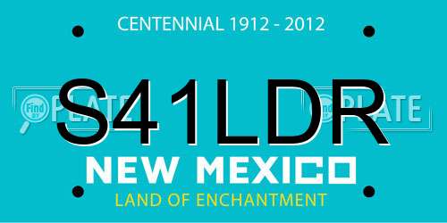 S41LDR New Mexico License Plate