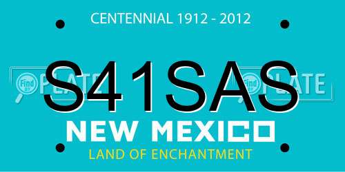 S41SAS New Mexico License Plate
