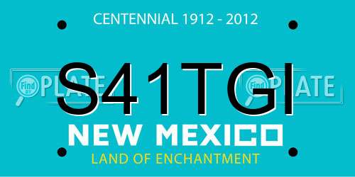 S41TGI New Mexico License Plate