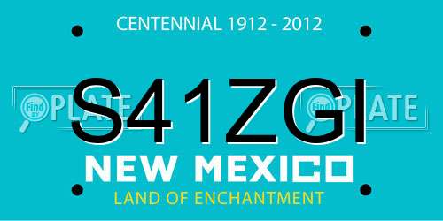 S41ZGI New Mexico License Plate