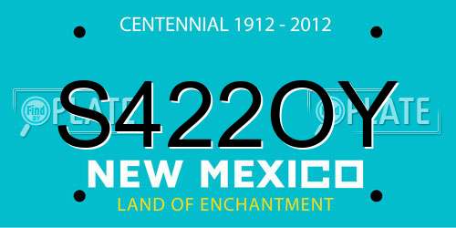 S422OY New Mexico License Plate