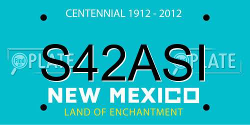 S42ASI New Mexico License Plate