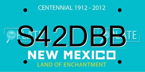 S42DBB New Mexico License Plate