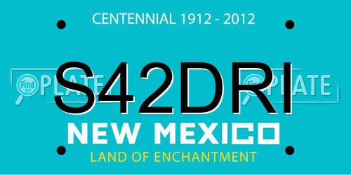S42DRI New Mexico License Plate