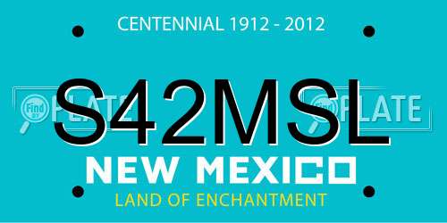S42MSL New Mexico License Plate