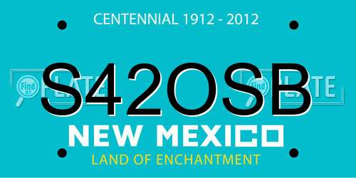 S42OSB New Mexico License Plate
